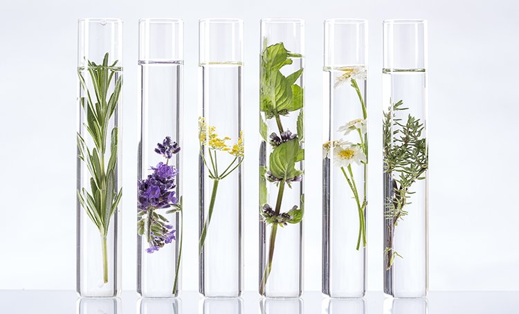 These three natural ingredients are among the best moisture specialists
